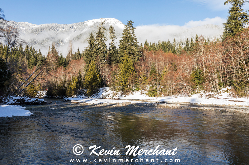 Early morning light on the Nooksack River