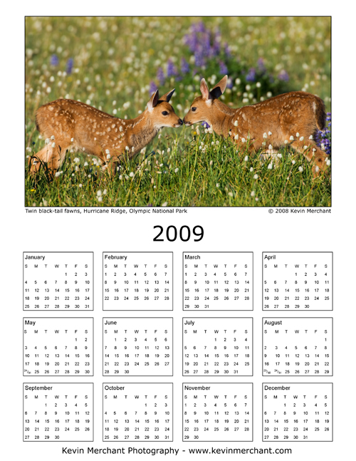 2009 Calendar